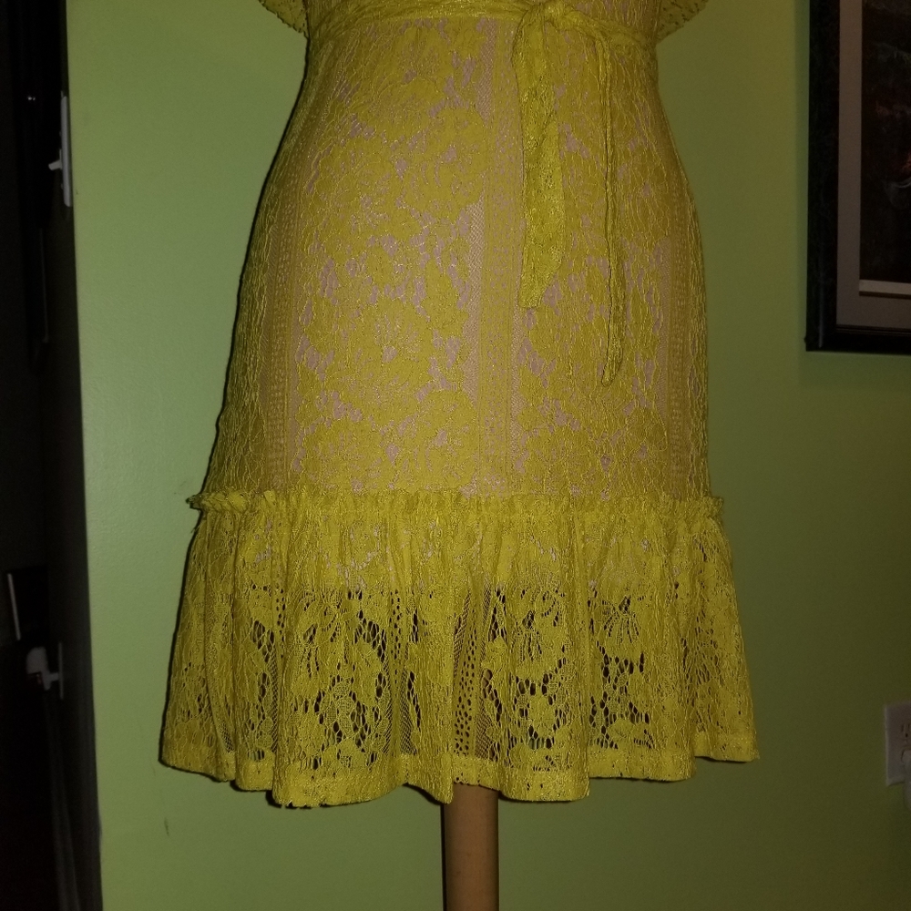 ⚡️Flirty and Feminine Lace Dress by Sharagano - Picture 4 of 7